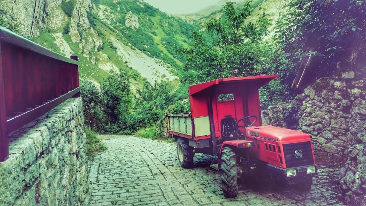 El Caleyon Panzió Bulnes Kültér fotó