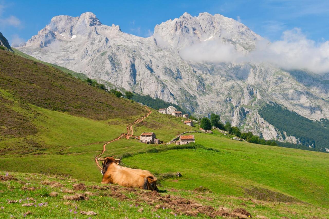 El Caleyon Panzió Bulnes Kültér fotó